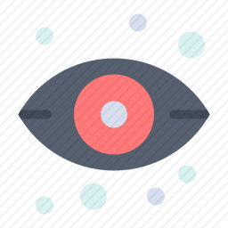 <em>眼睛</em>