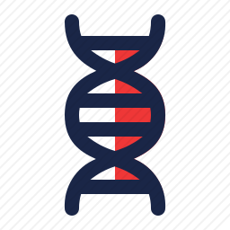 DNA