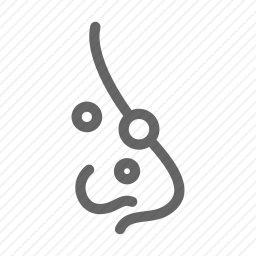 鼻子