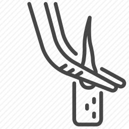 <em>头发</em>