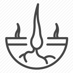 <em>头发</em>