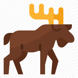 <em>驼鹿</em>