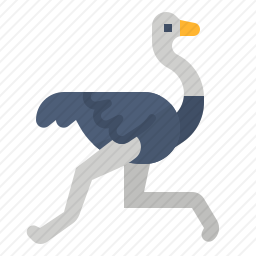 鸵鸟