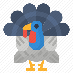 <em>火鸡</em>