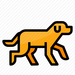 狗