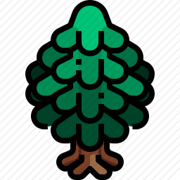 松树