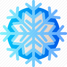<em>雪花</em>