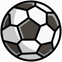 <em>足球</em>