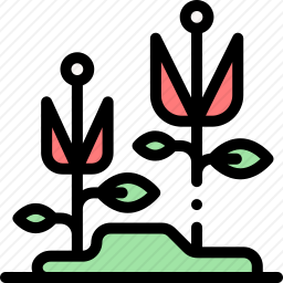 <em>花</em>