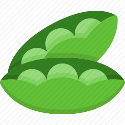 豌豆