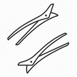 <em>发夹</em>