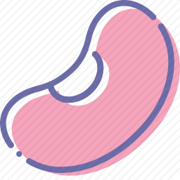 豆子