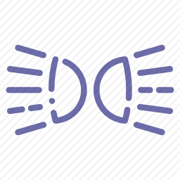 <em>远光灯</em>