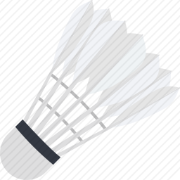 <em>羽毛球</em>