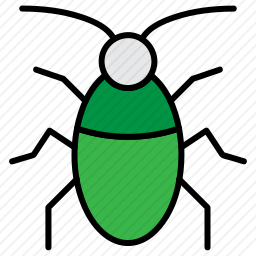 <em>甲虫</em>