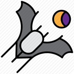 <em>蝙蝠</em>