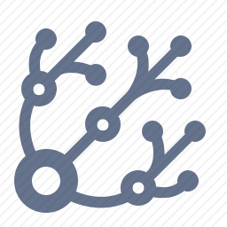 <em>神经</em>