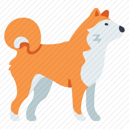 <em>柴犬</em>