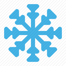 <em>雪花</em>