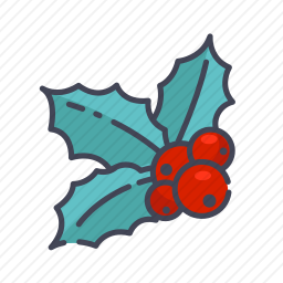 浆果