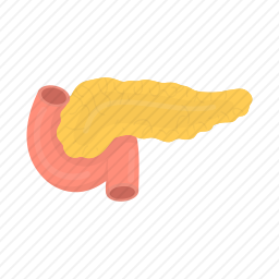 胰腺