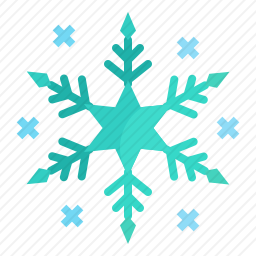 <em>雪花</em>