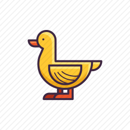 鸭子