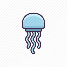 水母