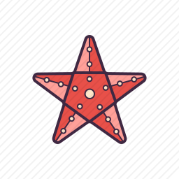 海星