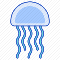 水母