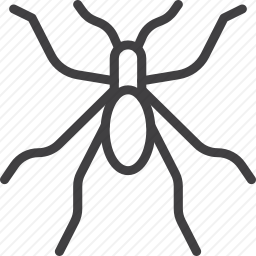 <em>甲虫</em>