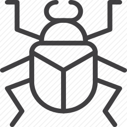 <em>甲虫</em>