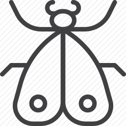 <em>昆虫</em>