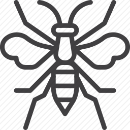 <em>蜜蜂</em>