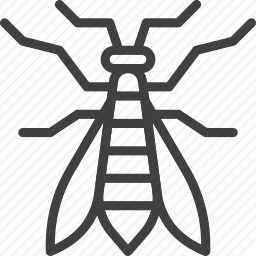 <em>昆虫</em>
