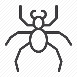 <em>甲虫</em>
