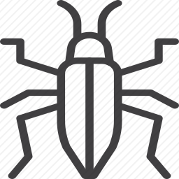 <em>甲虫</em>