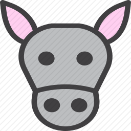 <em>驴</em>