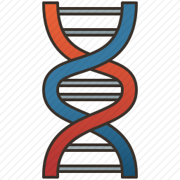 DNA结构
