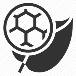 分子
