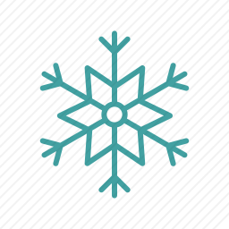 <em>雪花</em>