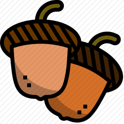 橡子