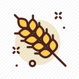 粮食