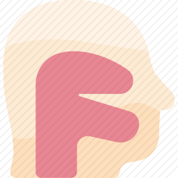 喉咙