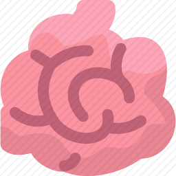 小肠