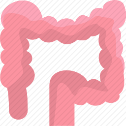 <em>大肠</em>