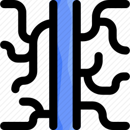 <em>静脉</em>