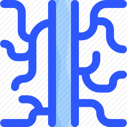 <em>静脉</em>