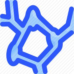 <em>淋巴结</em>