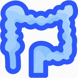<em>大肠</em>